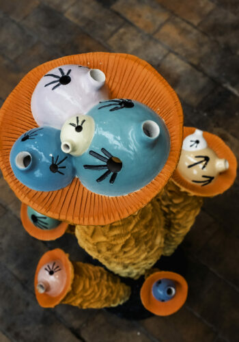 The smuggler promised paradise.