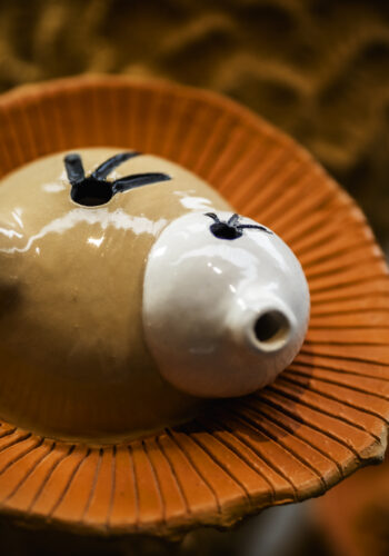 The smuggler promised paradise.