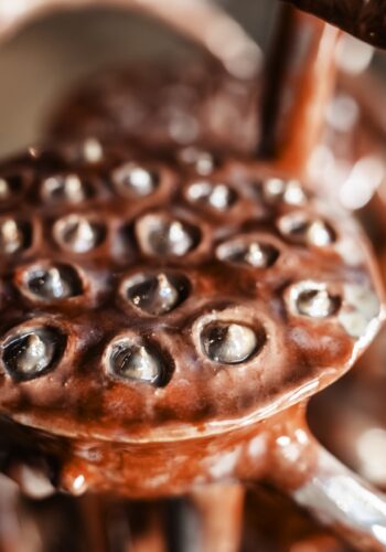 Where is my mind? Detail